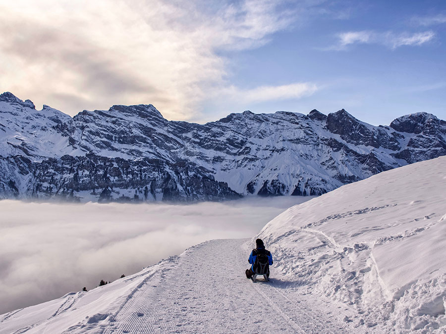 Slittino che passione! Le migliori piste per tutta la famiglia